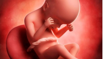 bebe-foetus